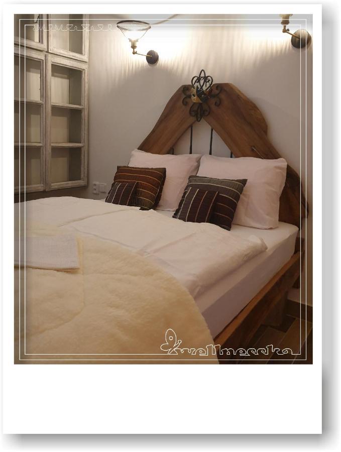 Wellnesska Vyhne Vila Exterior foto