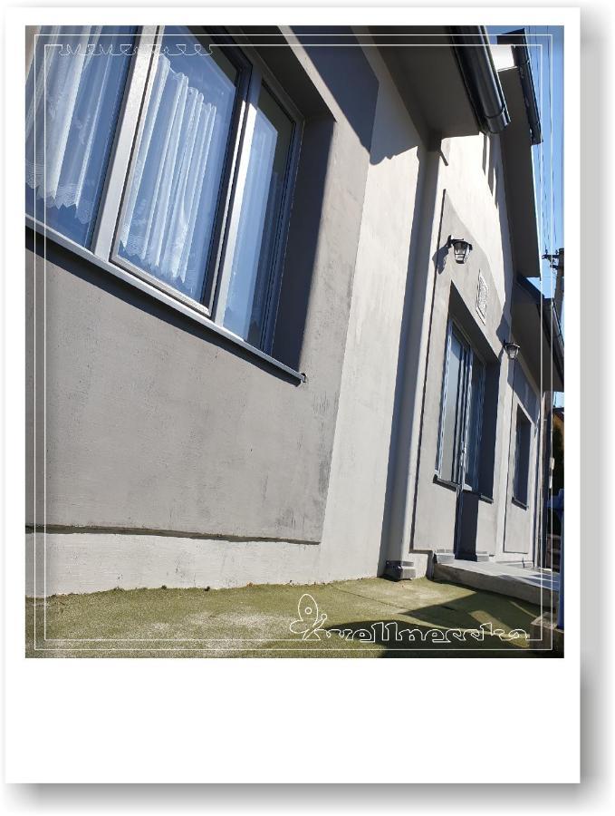 Wellnesska Vyhne Vila Exterior foto